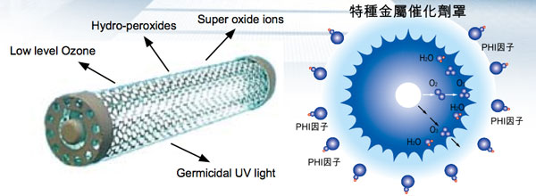 rgf uv light